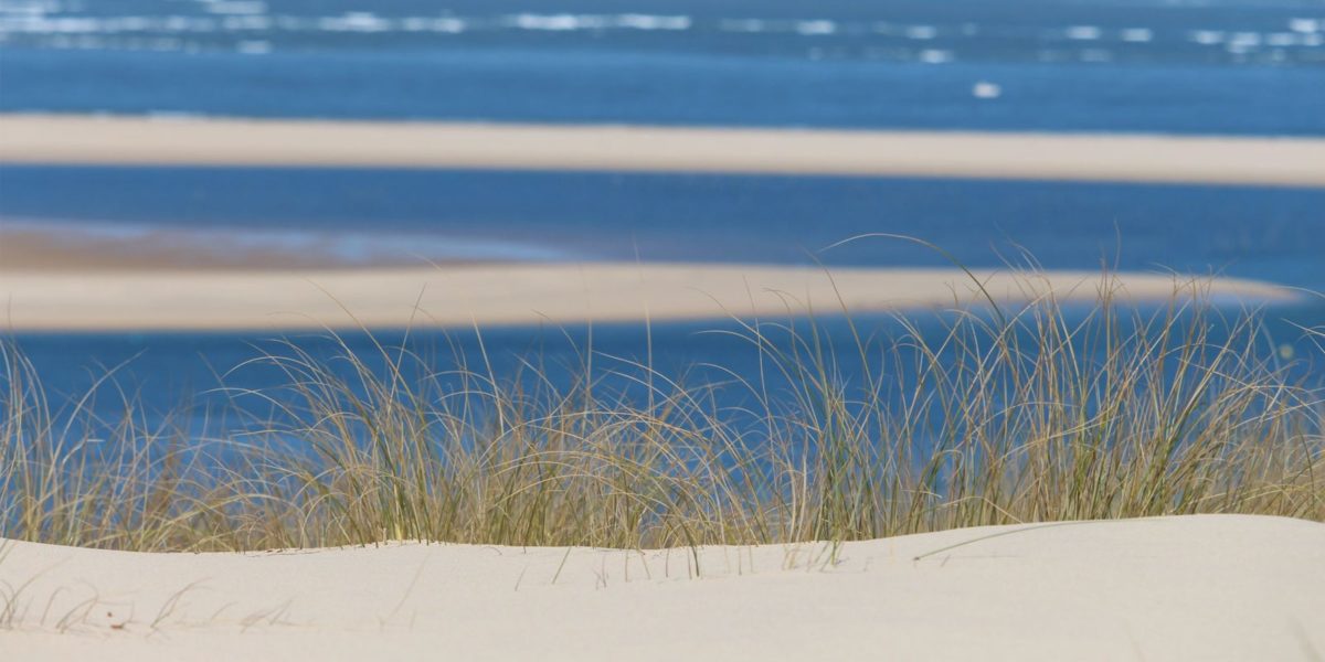 Annonces légales - Dune du Pilat